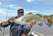 Northern Territory must act to protect barramundi fishery